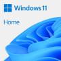 Microsoft Windows Home 11 OEM key
