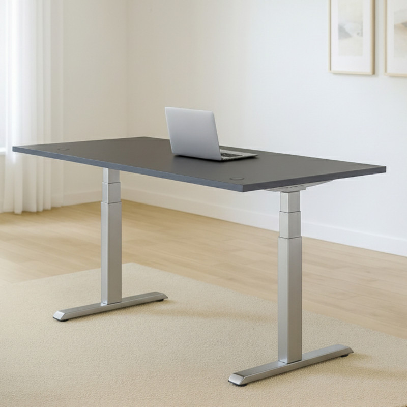 UVI Standard V2 stol (okvir) za podizanje stola, električno sivi UVI Standard V2 stol (okvir) za podizanje stola, električno sivi