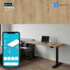 UVI STANDARD V2 električni sit-stand stol - Chalet Oak i crni okvir