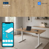 UVI STANDARD V2 električni sit-stand stol - Chalet Oak i bijeli okvir